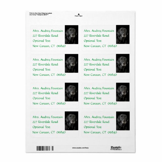 Black Labrador Retriever Naam Adres Label (Full Sheet)