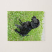 Black Labrador Retriever op gras Legpuzzel (Horizontaal)