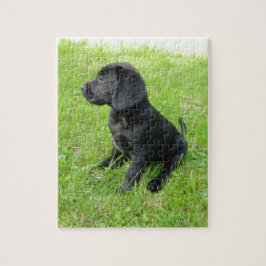Black Labrador Retriever op gras Legpuzzel