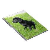 Black Labrador Retriever op gras Notitieboek (Rechterzijde)