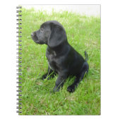 Black Labrador Retriever op gras Notitieboek (Voorkant)
