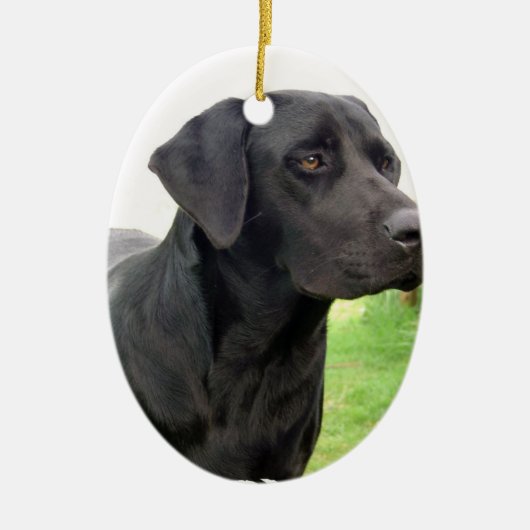 Black Labrador Retriever Ornament (Voorkant)