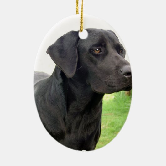 Black Labrador Retriever Ornament (Achterkant)