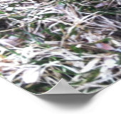 Black Labrador Retriever Poster (Hoek)