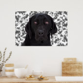 Black Labrador Retriever Poster (Keuken)
