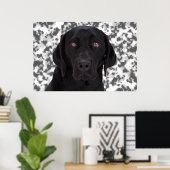 Black Labrador Retriever Poster (Thuiskantoor)