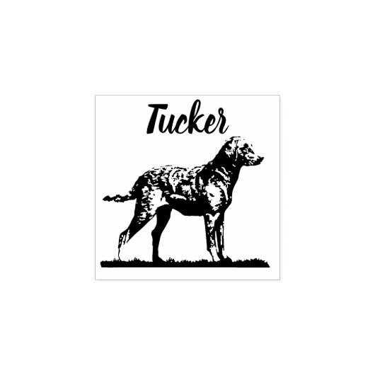 Black Labrador Retriever print aangepaste naam Rubberstempel (Afrduk)