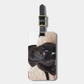 Black Labrador Retriever Puppy Bagagelabel (Voorkant verticaal)