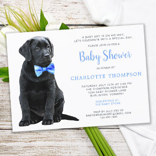 Black Labrador Retriever Puppy Blue Baby shower Kaart