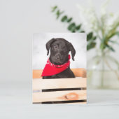 Black Labrador Retriever Puppy Briefkaart (Staand voorkant)