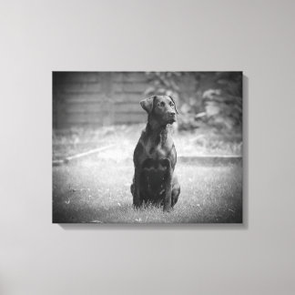 Black Labrador Retriever Puppy Canvas Afdruk