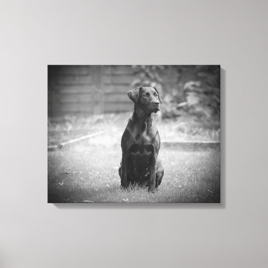 Black Labrador Retriever Puppy Canvas Afdruk (Voorkant)