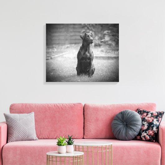 Black Labrador Retriever Puppy Canvas Afdruk (Insitu (Woonkamer))