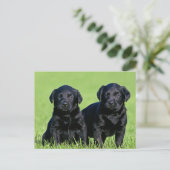 Black Labrador Retriever Puppy Dog Briefkaart (Staand voorkant)
