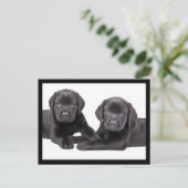 Black Labrador Retriever Puppy Dog Briefkaart (Staand voorkant)