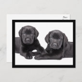 Black Labrador Retriever Puppy Dog Briefkaart (Voorkant / Achterkant)