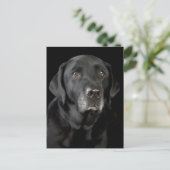 Black Labrador Retriever Puppy Dog Briefkaart (Staand voorkant)