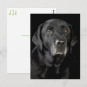 Black Labrador Retriever Puppy Dog Briefkaart (Voorkant / Achterkant)