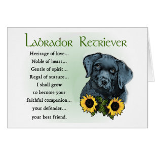 Black Labrador Retriever Puppy Gifts