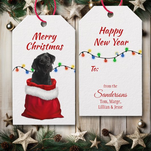 Black Labrador Retriever Puppy in Santa Bag Cadeaulabel