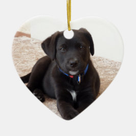 Black Labrador Retriever Puppy Keramisch Ornament
