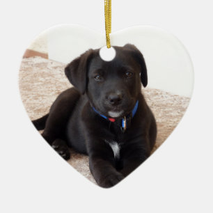 Black Labrador Retriever Puppy Keramisch Ornament