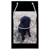 Black Labrador Retriever Puppy Klein Cadeauzakje (Achterkant)