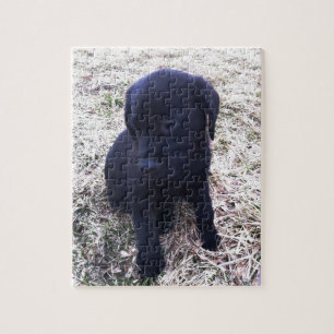 Black Labrador Retriever Puppy Legpuzzel