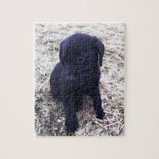 Black Labrador Retriever Puppy Legpuzzel (Verticaal)