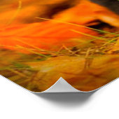 Black Labrador Retriever Puppy met doorsnee blader Poster (Hoek)