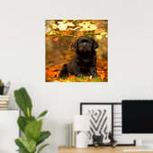 Black Labrador Retriever Puppy met doorsnee blader Poster (Thuiskantoor)