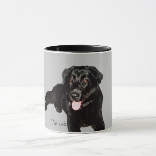 Black Labrador Retriever Puppy Mok (Midden)