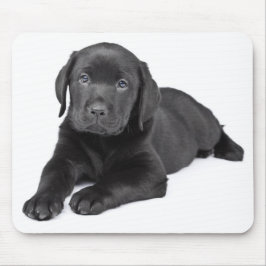 Black Labrador Retriever Puppy Mousepad Muismat