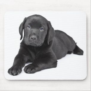 Black Labrador Retriever Puppy Mousepad Muismat
