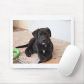 Black Labrador Retriever Puppy Muismat (Met muis)