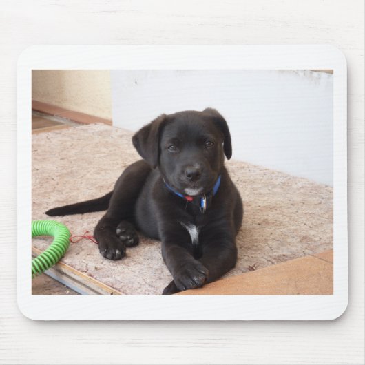 Black Labrador Retriever Puppy Muismat (Voorkant)
