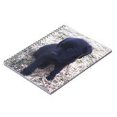 Black Labrador Retriever Puppy Notitieboek (Linkerzijde)