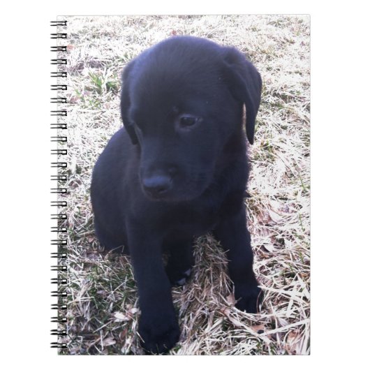 Black Labrador Retriever Puppy Notitieboek (Voorkant)