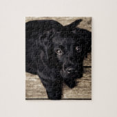 Black Labrador Retriever Puppy op hout Legpuzzel (Verticaal)