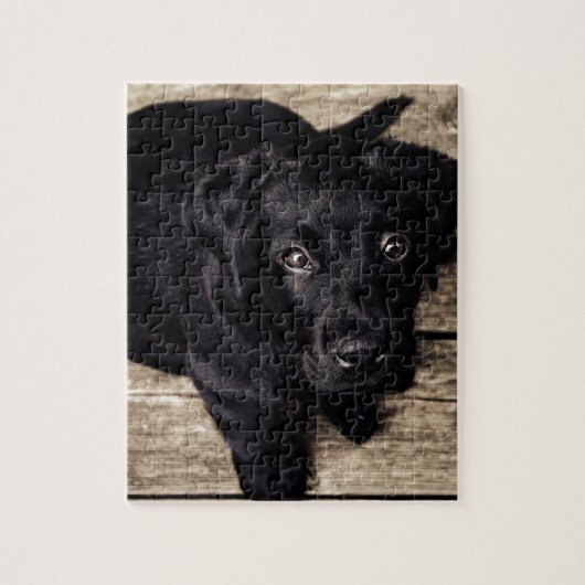 Black Labrador Retriever Puppy op hout Legpuzzel (Verticaal)