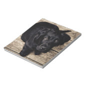 Black Labrador Retriever Puppy op hout Notitieblok (Linkerzijde)