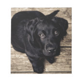 Black Labrador Retriever Puppy op hout Notitieblok (Voorkant)