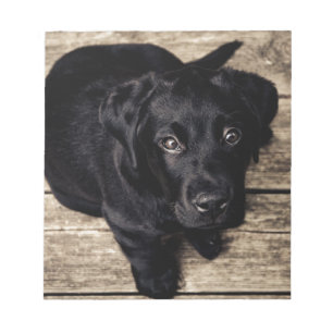 Black Labrador Retriever Puppy op hout Notitieblok