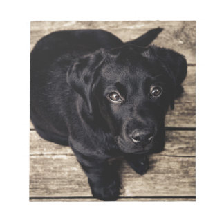 Black Labrador Retriever Puppy op hout Notitieblok