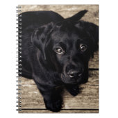Black Labrador Retriever Puppy op hout Notitieboek (Voorkant)