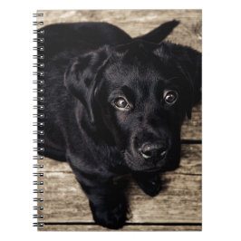 Black Labrador Retriever Puppy op hout Notitieboek