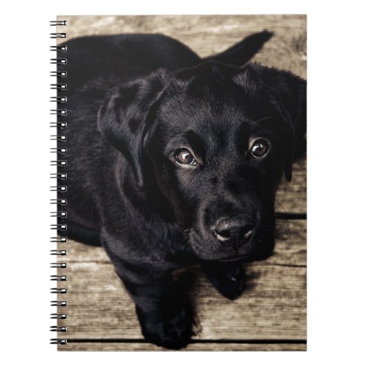 Black Labrador Retriever Puppy op hout Notitieboek (Voorkant)