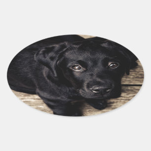 Black Labrador Retriever Puppy op hout Ovale Sticker