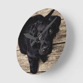 Black Labrador Retriever Puppy op hout Ronde Klok (Hoek)