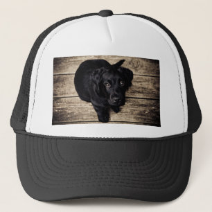 Black Labrador Retriever Puppy op hout Trucker Pet